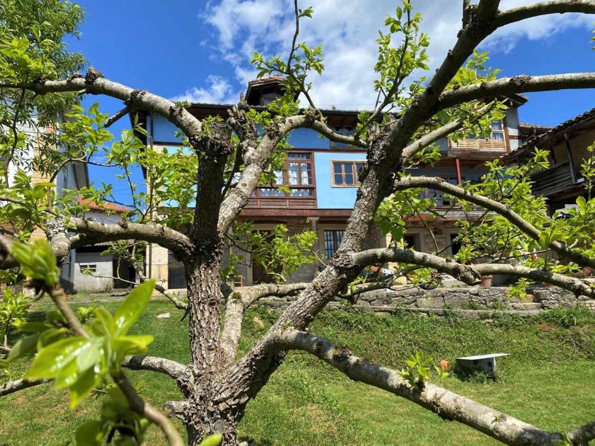 Casa Rural El Bohio Arriondas Exteriér fotografie